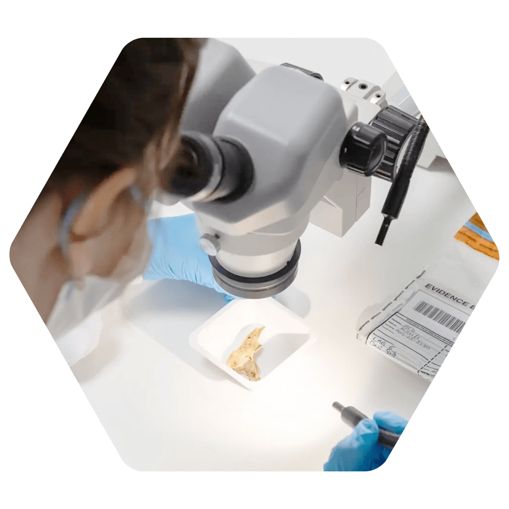 Expert Opinion and Consultancy for legal professinals